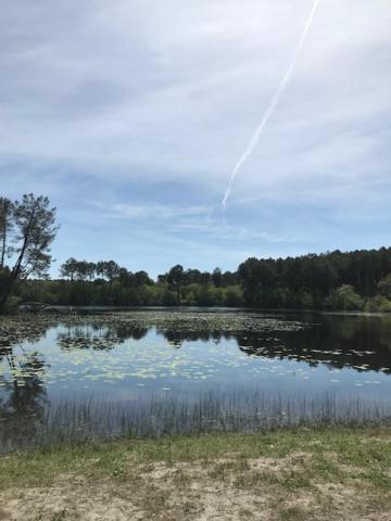Village Vacances Aux Villages Sous Les Pins Leon Bagian luar foto